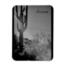 Search for arizona magnets Souvenir