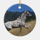 Search for appaloosa horse christmas tree decorations Bob langrish