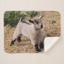 Search for cute goat blankets Farm