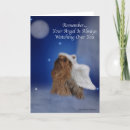 Search for yorkie angel Terrier