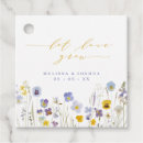 Search for flower seed packets Wildflowers