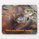 Search for flossing electronics Health