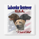 Search for labradors magnets Chocolate