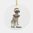 Search for german shorthaired pointer christmas tree decorations white