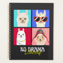 Search for drama office supplies No drama llama