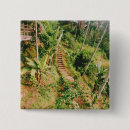Search for rainforest badges Tropical