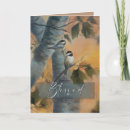 Search for chickadees cards Nature