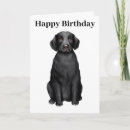 Search for black labrador retriever postcards Animal lover
