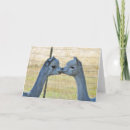 Search for alpaca cards White
