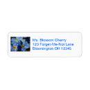 Search for forget me nots return address labels Blue