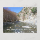 Search for forked postcards Nature