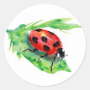 Search for lady bug stickers Animal