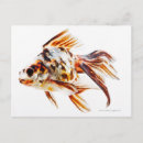 Search for fantail postcards Animal