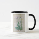 Search for cur drinkware Testard