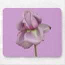 Search for bridal rose mousepads Flower