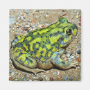Search for toad magnets Animal
