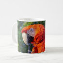 Search for cute parakeet mugs Pet