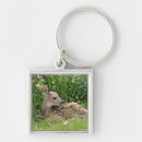 Search for white tail key rings Outdoors