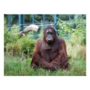 Search for funny yoga posters Cute