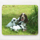 Search for cocker mousepads English cocker spaniel