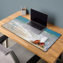 Search for seashell photos electronics Photography