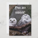 Search for owl lovers invitations Bird lover