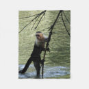 Search for capuchin Monkey