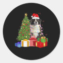 Search for border collie lover stickers Pug