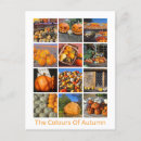 Search for halloween postcards Fall