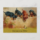 Search for dachshund sayings postcards Dogs
