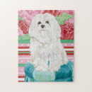 Search for maltese dog puzzles Puppies