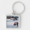 Search for temperature key rings Nature