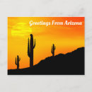 Search for phoenix postcards Tucson