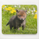Search for wildlife mousepads Portrait