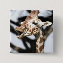 Search for giraffe face accessories Funny
