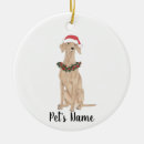 Search for vizsla christmas tree decorations Santa