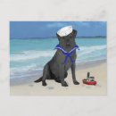 Search for black labrador retriever postcards Animals