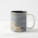 Search for snowy owl coffee mugs Canada