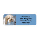 Search for pet rabbit return address labels Animal