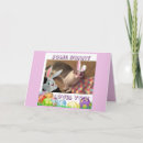 Search for cat lovers easter cards Bunny