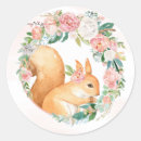 Search for squirrel animal stickers Forest animals