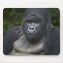 Search for mountain gorilla mousepads Species