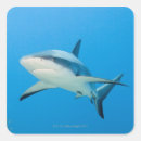 Search for ocean reef stickers Animal