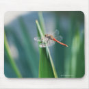 Search for outdoors mousepads Animal