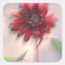 Search for hybrid stickers Bloom