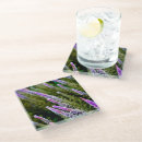 Search for field barware Field of flowers