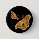 Search for moth badges Wings