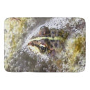 Search for frog bath mats Nature