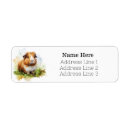 Search for guinea pig return address labels Animal