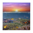 Search for coral reef tiles Sea